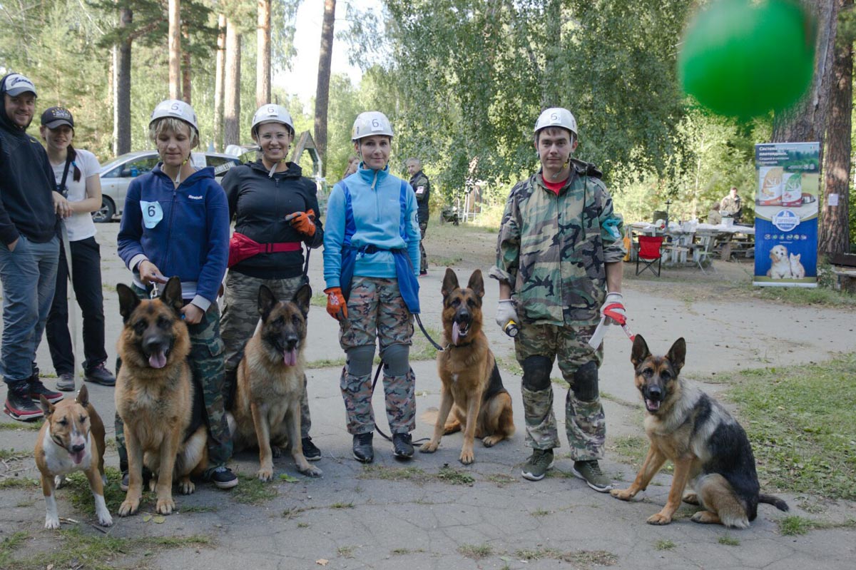 Логово зверя фото