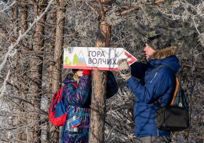 Голодная волчиха встала чтобы идти на охоту волчиха схема