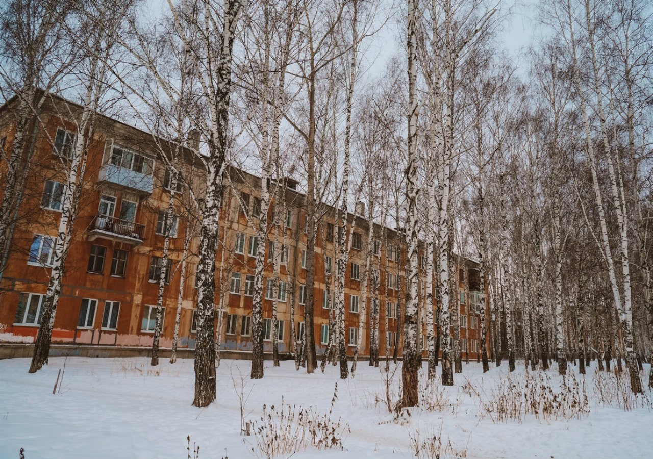 Роща школа. Березовая роща Первоуральск. Березовая роща Первоуральск сквер. Корабельная роща Первоуральск. Березовая роща на Карла Ильмера Томск.