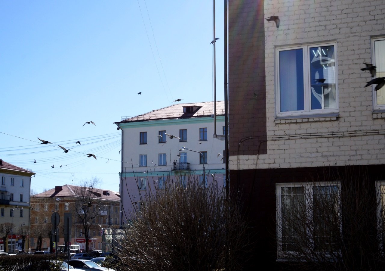 Дети, белки и коты. В Первоуральск пришла весна! — Городские вести