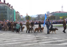 ��������� �������� �������: ����.