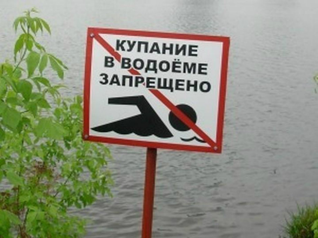 Можно в запрет плавать на лодке. Купаться запрещено табличка. Купание в водоемах запрещено. Таблички о запрете купания. Купаться запрещено плакат.