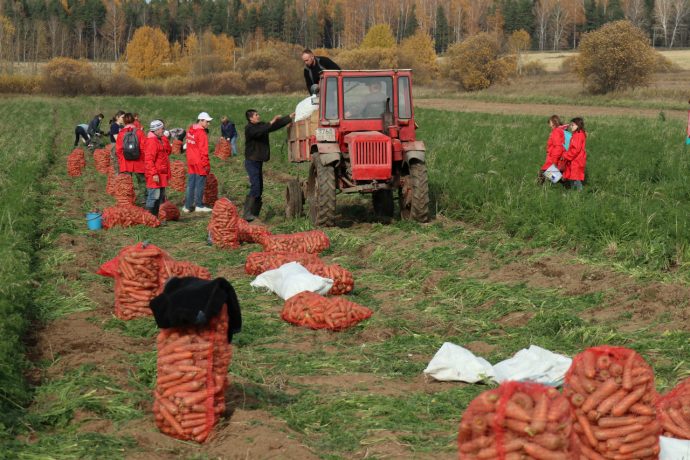 Совхоз ручьи фото