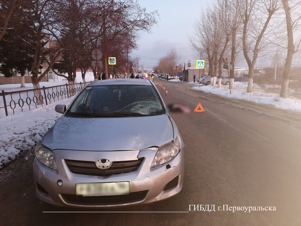 Голубь попал под машину