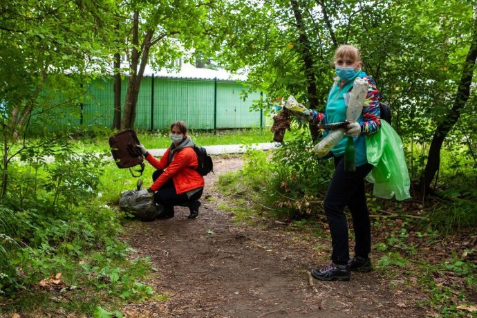 Экологический квест картинки