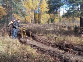 Сверх плана собрано 150