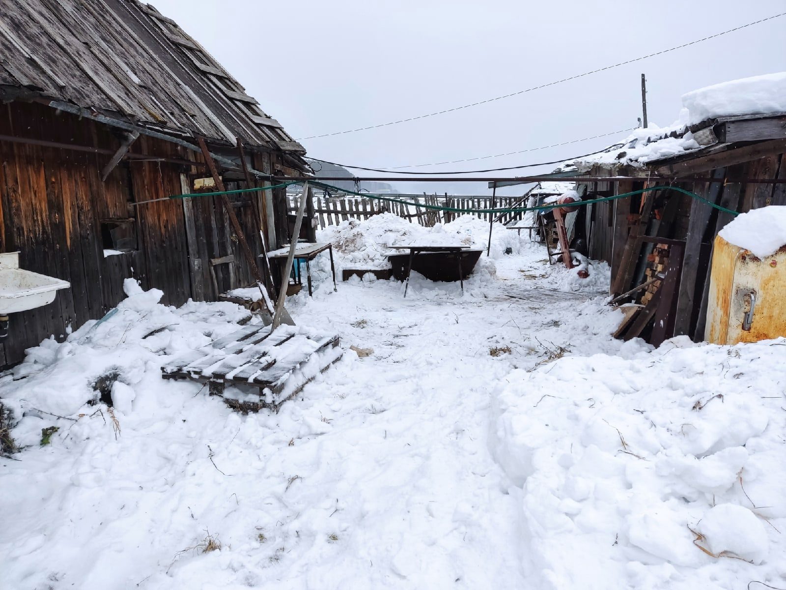 Взяли лопаты и отправились разминать мышцы». Общественники очистили двор  одинокой пенсионерки от снега — Городские вести