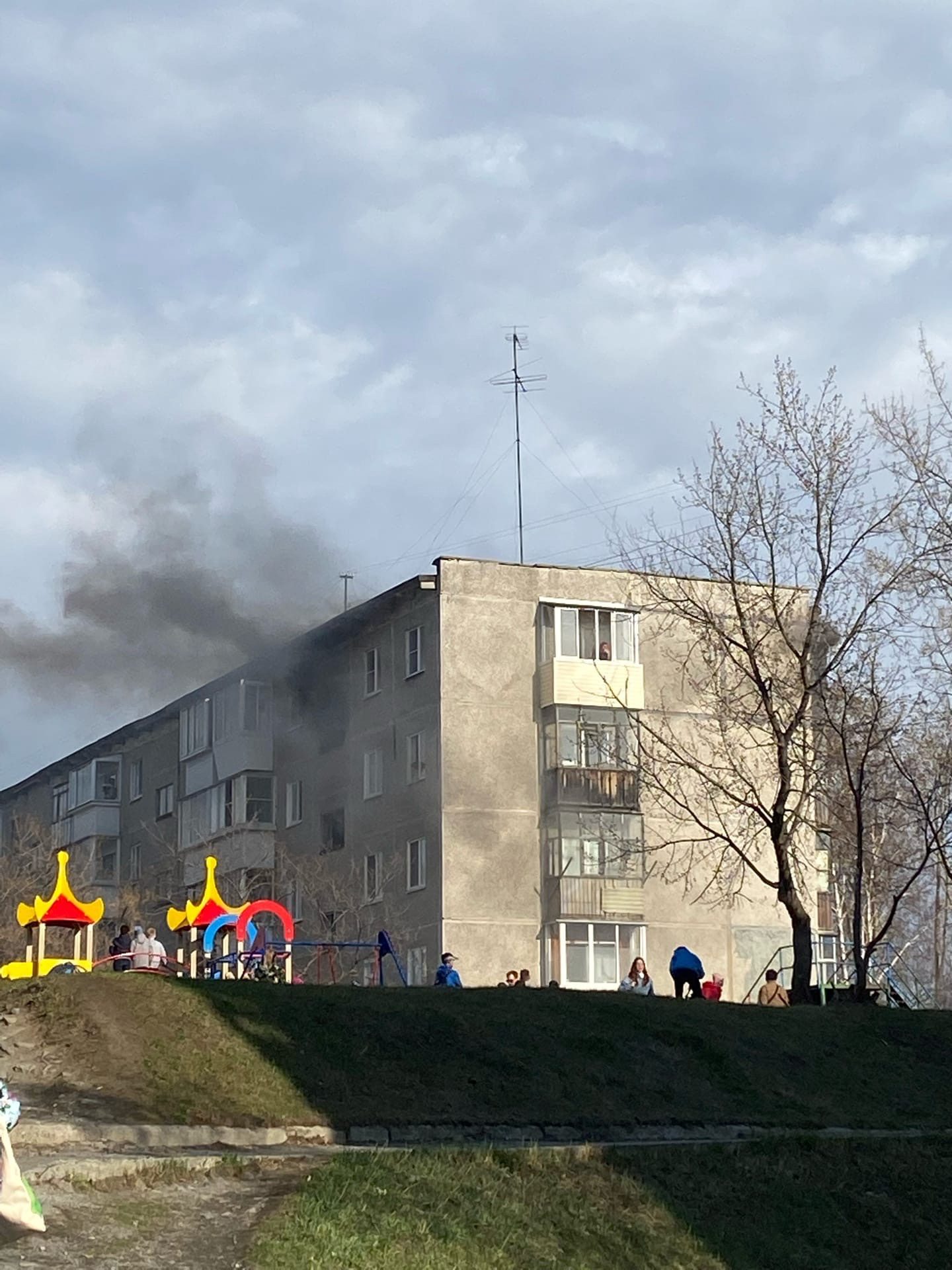 12 человек эвакуировали из горящей многоэтажки. В одной из квартир  задохнулись две кошки — Городские вести