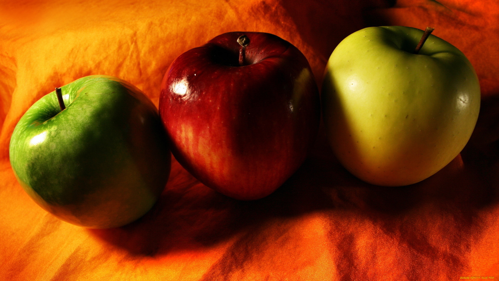 Жило было яблоко. Красивое яблоко. Яблоко на столе. Разные яблоки. Яблоки красные желтые зеленые.